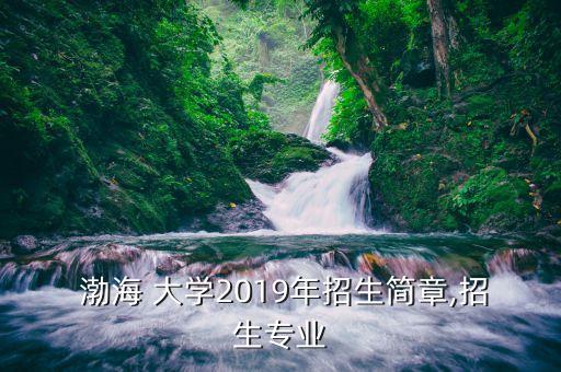 渤海大學(xué)專升本學(xué)費(fèi),五種?？撇唤ㄗh專升本