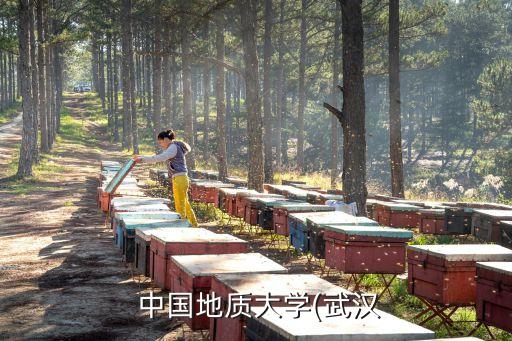 中國地質(zhì)大學(xué)專升本網(wǎng)絡(luò)教育學(xué)費(fèi),網(wǎng)絡(luò)教育專升本學(xué)費(fèi)一般多少