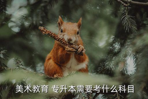  美術(shù)教育 專升本需要考什么科目