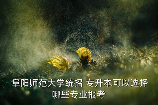  阜陽師范大學統(tǒng)招 專升本可以選擇哪些專業(yè)報考