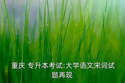  重慶 專升本考試:大學(xué)語文宋詞試題再現(xiàn)