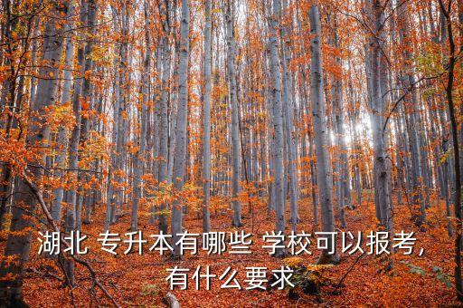 湖北 專升本有哪些 學(xué)?？梢詧罂?有什么要求