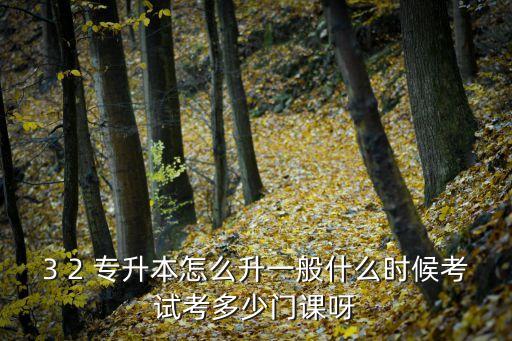 2014年藝術(shù)專升本院校每天上幾小時的課