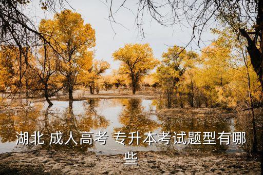 2017成人專(zhuān)升本政治論述題