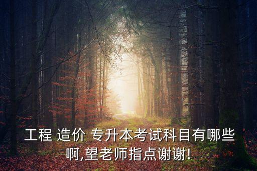  工程 造價 專升本考試科目有哪些啊,望老師指點(diǎn)謝謝!
