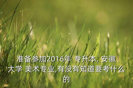 準備參加2016年 專升本, 安徽大學(xué) 美術(shù)專業(yè),有沒有知道要考什么的