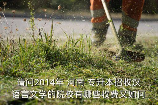 2014河南會計(jì)專升本,河南會計(jì)專升本學(xué)校有哪些學(xué)校