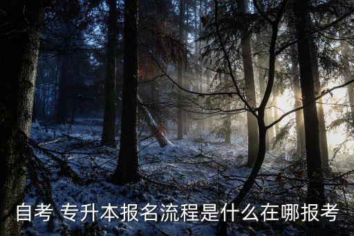 自考 專升本報(bào)名流程是什么在哪報(bào)考