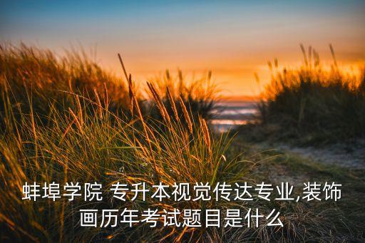 蚌埠學(xué)院 專升本視覺(jué)傳達(dá)專業(yè),裝飾畫(huà)歷年考試題目是什么