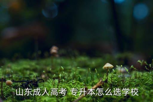 山東專(zhuān)升本成考