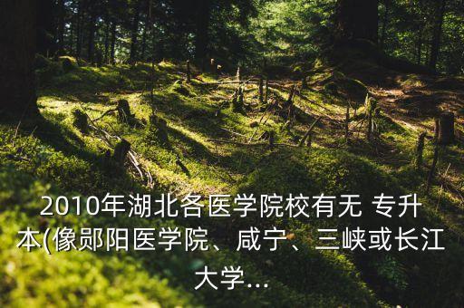 2010年湖北各醫(yī)學(xué)院校有無 專升本(像鄖陽醫(yī)學(xué)院、咸寧、三峽或長江大學(xué)...