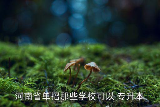 河南省單招那些學(xué)?？梢?專升本