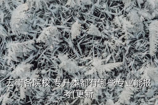 云南各院校 專(zhuān)升本都有哪些專(zhuān)業(yè)能報(bào)考(更新