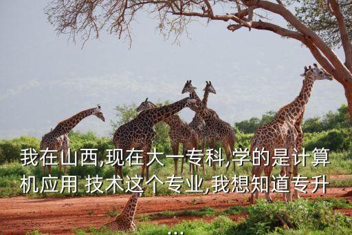 我在山西,現(xiàn)在大一?？?學(xué)的是計算機應(yīng)用 技術(shù)這個專業(yè),我想知道專升...