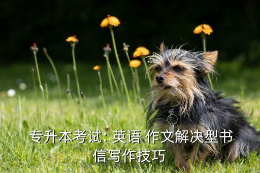  專(zhuān)升本考試: 英語(yǔ) 作文解決型書(shū)信寫(xiě)作技巧