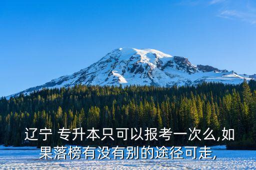 遼寧 專升本只可以報(bào)考一次么,如果落榜有沒有別的途徑可走,