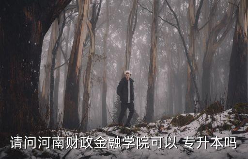 請(qǐng)問河南財(cái)政金融學(xué)院可以 專升本嗎