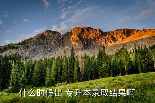 什么時候出 專升本錄取結(jié)果啊