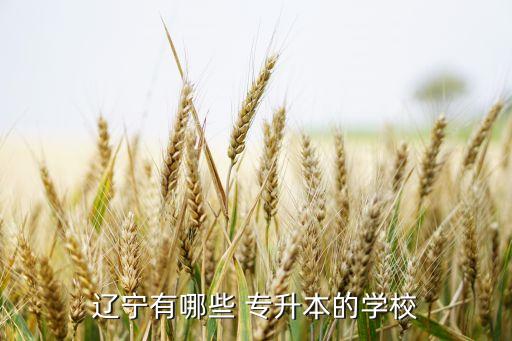 專升本東北財經(jīng)大學(xué)考研,東北財經(jīng)大學(xué)2022考研分?jǐn)?shù)線