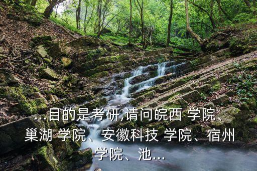 ...目的是考研,請問皖西 學(xué)院、 巢湖 學(xué)院、安徽科技 學(xué)院、宿州 學(xué)院、池...