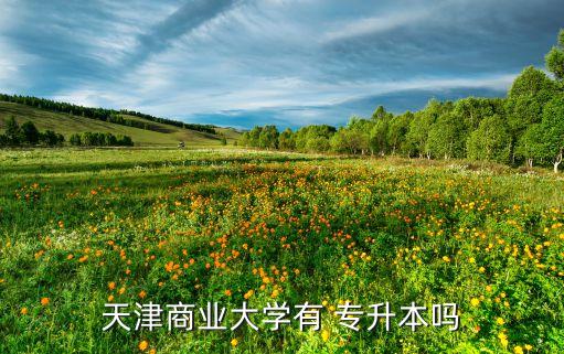 天津商業(yè)大學(xué)有 專升本嗎