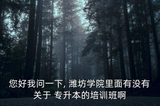 您好我問(wèn)一下, 濰坊學(xué)院里面有沒(méi)有關(guān)于 專升本的培訓(xùn)班啊