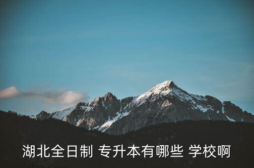 湖北全日制 專升本有哪些 學(xué)校啊
