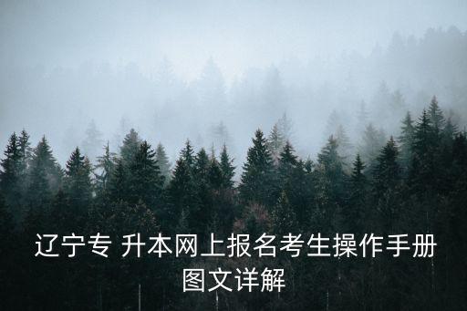  遼寧專 升本網(wǎng)上報名考生操作手冊圖文詳解