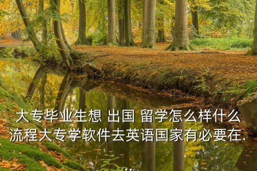 大專畢業(yè)生想 出國 留學(xué)怎么樣什么流程大專學(xué)軟件去英語國家有必要在...