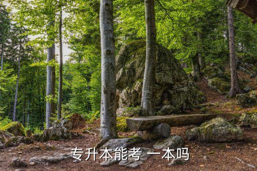  專(zhuān)升本能考 一本嗎