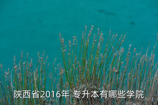 西安藝術(shù)類專升本院校,西安專升本院校名單和專業(yè)分數(shù)