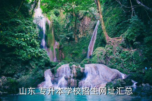 山東 專升本學校招生網(wǎng)址匯總