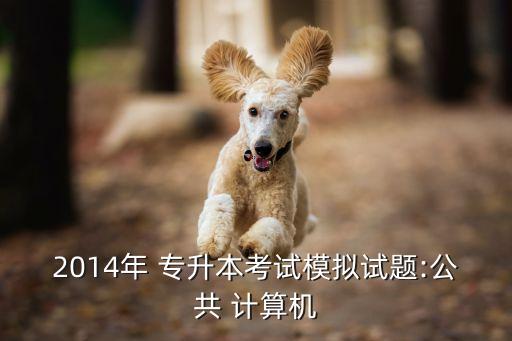 2014年 專升本考試模擬試題:公共 計算機