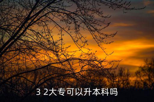3 2大?？梢陨究茊? class=