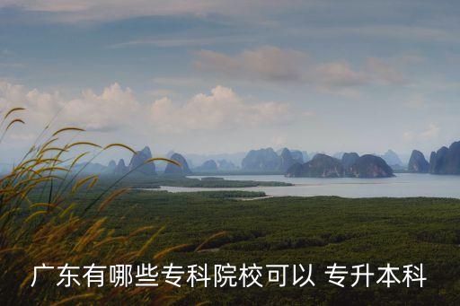 廣東有哪些?？圃盒？梢?專升本科