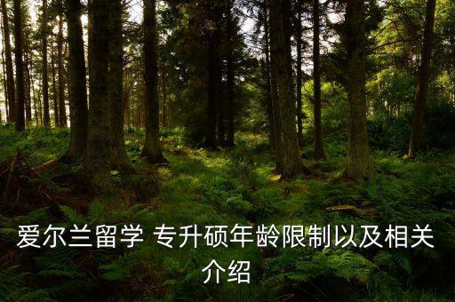 專(zhuān)升碩與專(zhuān)升本