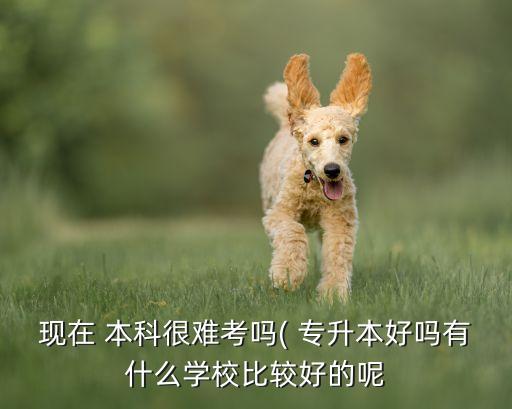 專升本的本科院校好么,在本科院校讀?？?專升本有優(yōu)勢嗎?
