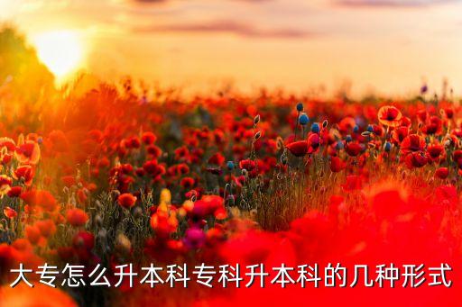 大專怎么升本科?？粕究频膸追N形式