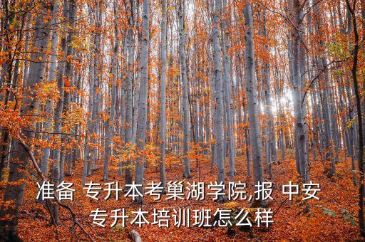 準(zhǔn)備 專升本考巢湖學(xué)院,報(bào) 中安 專升本培訓(xùn)班怎么樣