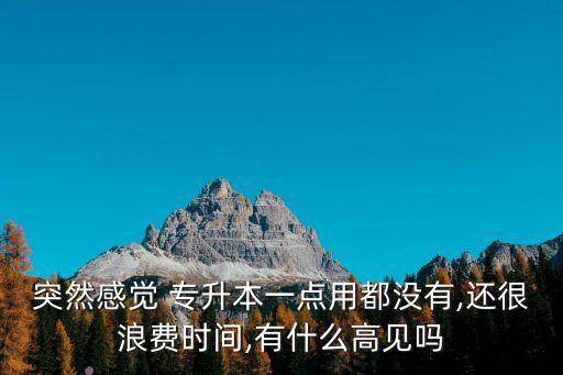 突然感覺 專升本一點用都沒有,還很浪費時間,有什么高見嗎