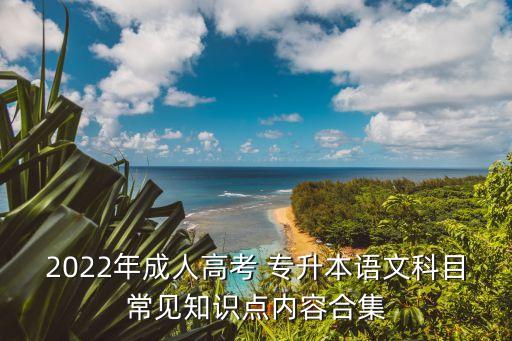 2022年成人高考 專升本語文科目常見知識(shí)點(diǎn)內(nèi)容合集