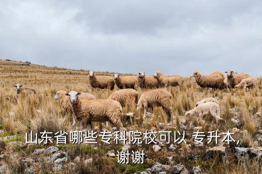  山東省哪些?？圃盒？梢?專升本,謝謝