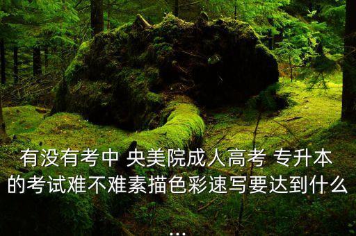 有沒(méi)有考中 央美院成人高考 專(zhuān)升本的考試難不難素描色彩速寫(xiě)要達(dá)到什么...