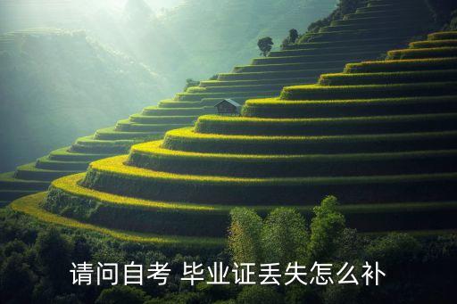 專升本?？飘厴I(yè)證能補,考上專升本,沒拿到專科畢業(yè)證咋辦