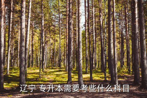  遼寧 專升本需要考些什么科目