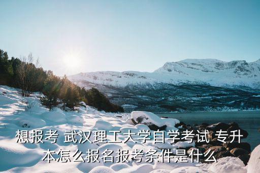 武漢理工大學專升本內容