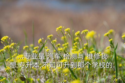 ...專業(yè)是 汽車 檢測與 維修我想 專升本,不知可升到那個(gè)學(xué)校的...