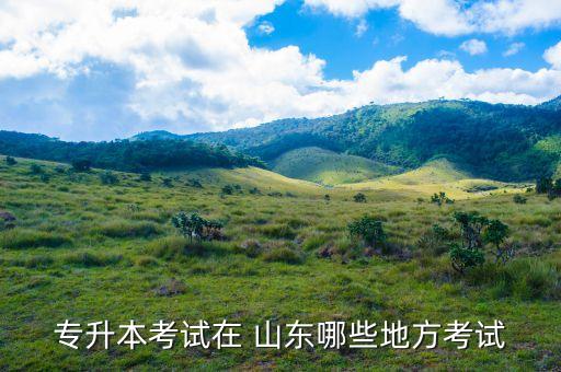 專(zhuān)升本考試在 山東哪些地方考試