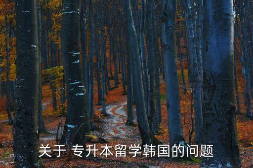 關(guān)于 專升本留學(xué)韓國(guó)的問題