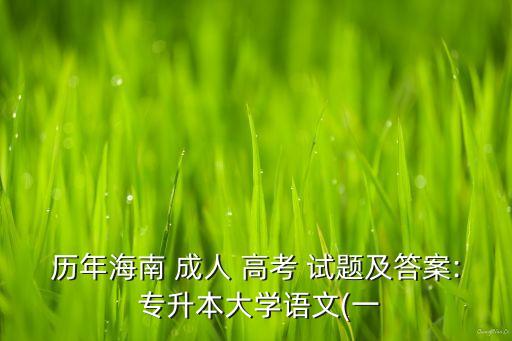歷年海南 成人 高考 試題及答案: 專升本大學語文(一